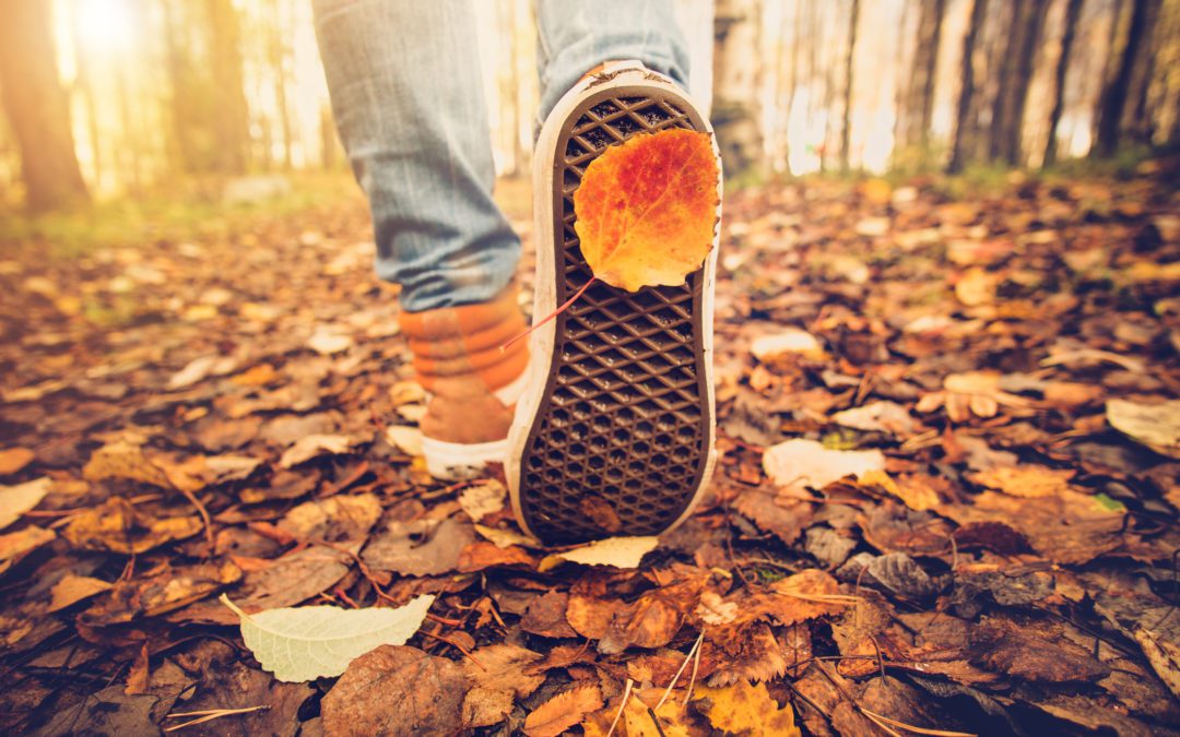 Ways to boost your health this fall